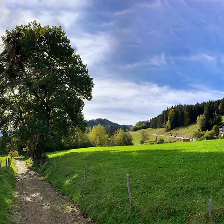 Hotel Panoramahotel Kuehbergalp Gunzesried