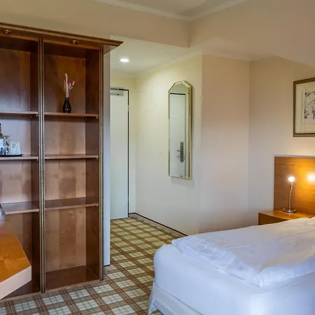Panoramahotel Kuehbergalp 3* גונצזריד