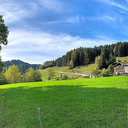 Panoramahotel Kuehbergalp 3* غونسيزريد