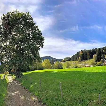 Hotel Panoramahotel Kuehbergalp